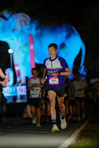 BIB: 
                            <button type="button" onclick="openModal(26530672)" class="btn btn-primary btn-sm float-right btn-popup" data-toggle="modal" data-target=".modal-high-quality">
                        <i class="fas fa-shopping-cart"></i> Add to Cart
                    </button>
                                            <button type="button" onclick="isThisMe(26530672, true)" class="btn btn-success btn-sm float-right btn-popup btn-isme hidden" data-toggle="tooltip" data-placement="bottom" title="นี่คือรูปของคุณใช่ไหม คลิกที่นี่เพื่อเอาเข้าอัลบั้ม">
                        <i class="fas fa-plus"></i> Add to album
                    </button>
                    <button type="button" onclick="isThisMe(26530672, false)" class="btn btn-warning btn-sm float-right btn-popup btn-isnotme hidden">
                        <i class="fas fa-ban"></i> Remove from album
                    </button>